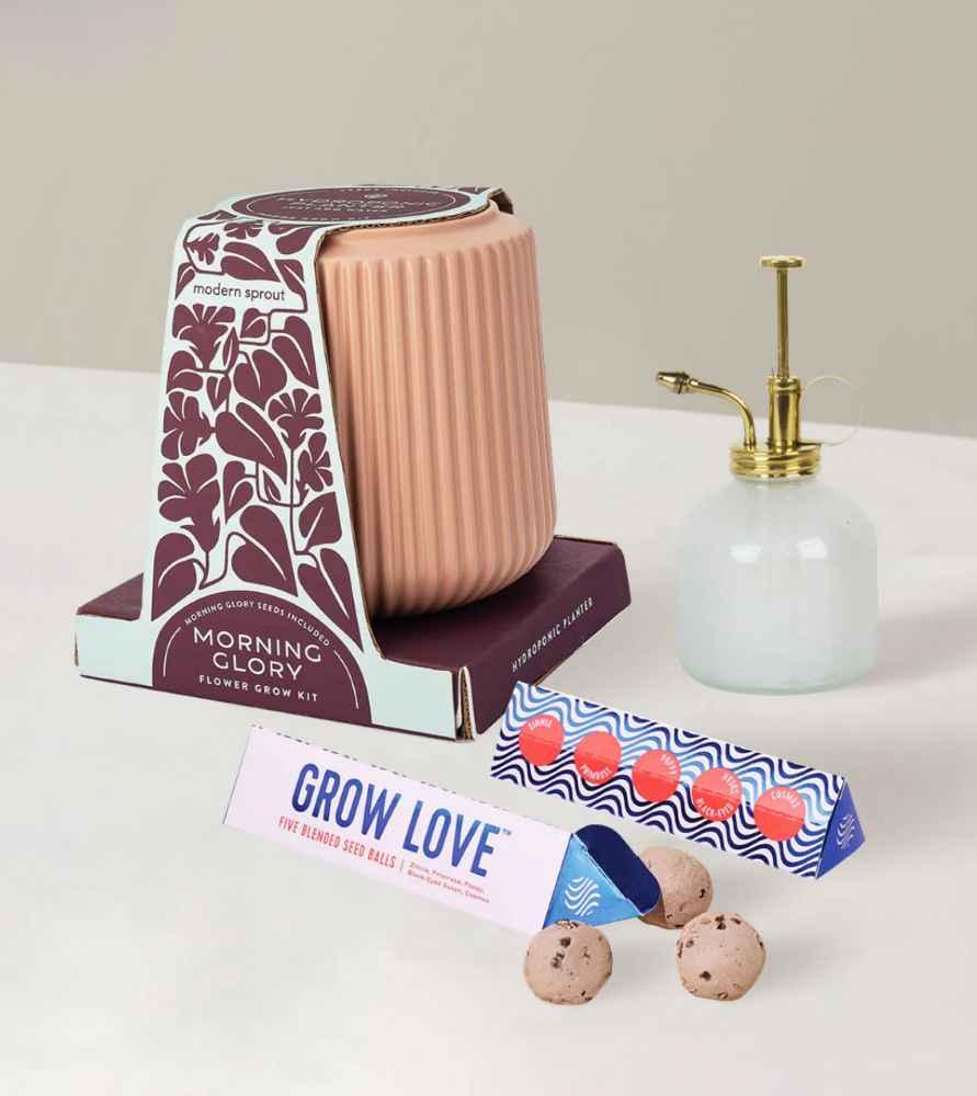 The Sill grow love kit, from our valentine's day gift guide