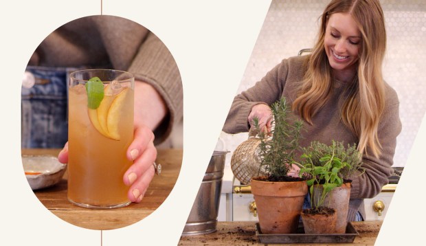 Want Super Fresh Cocktails? The Trick Is Planting a Mini Garden In Your Kitchen—Here's How