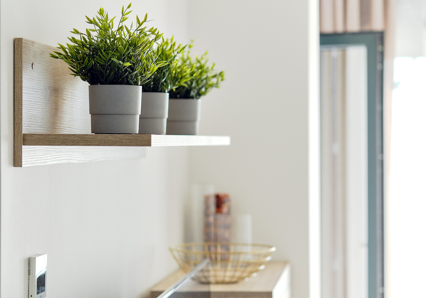 indoor plant shelves