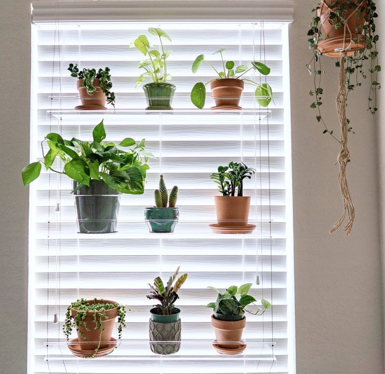 IndoorWindowGardens Window Plant Shelf