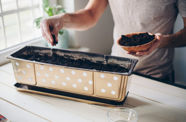 6 Indoor Herb and Plant Growers For Those With a Lack of Space and (Perhaps)...