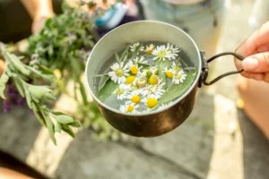 What To Grow in a Tea Garden of Fresh Herbs and Fragrant Flowers