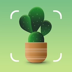 Logo of plant identification app Plantum.