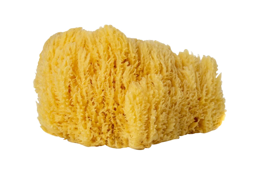 FAQ: How Should I Clean My Natural Sponge? – Life Unplastic
