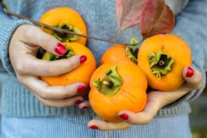 The Health Benefits of Persimmon Fruit, One of Nature's Most Remarkable Creations With a Taste Unlike Any Other