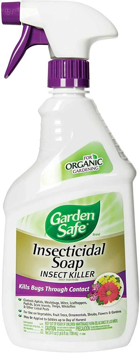 garden-safe-insecticidal-soap