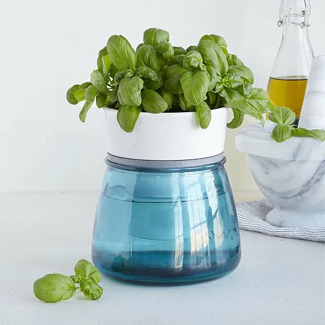 Uncommon Goods Self-Watering Kitchen Herb Pot
