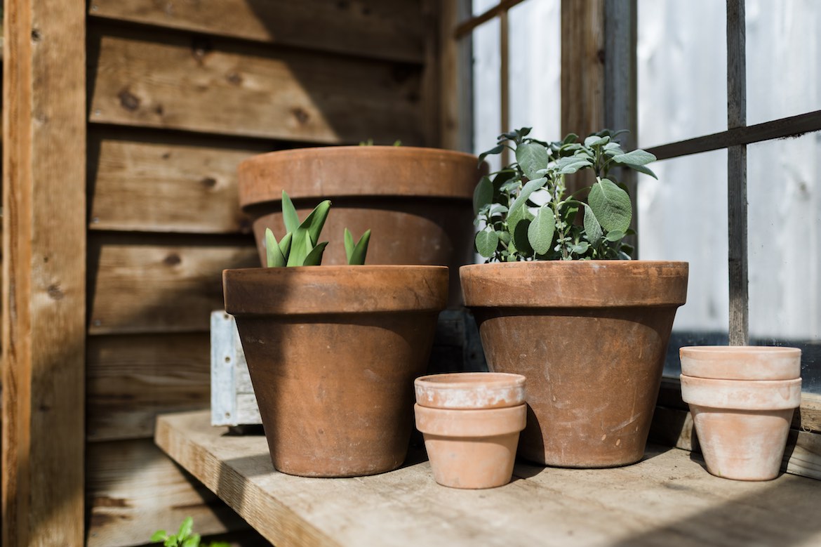 Are Terracotta Pots Good For Plants? 