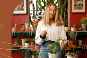 A Plant Doctor Explains How To Properly Propagate Your Plants Depending on the Type