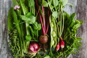 5 of the Easiest Vegetables To Grow in Your Garden