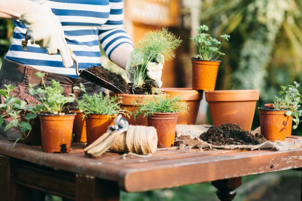 7 Best Containers for Growing Your Own Herbs
