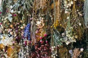 How To Dry Fresh Flowers, According to ‘Full Bloom’ Winner Conner Nesbit