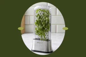 This Herb Container Keeps Your Stems Fresh for Weeks