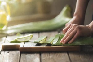 How To Store Your Aloe Vera Gel so It Stays Usable Longer