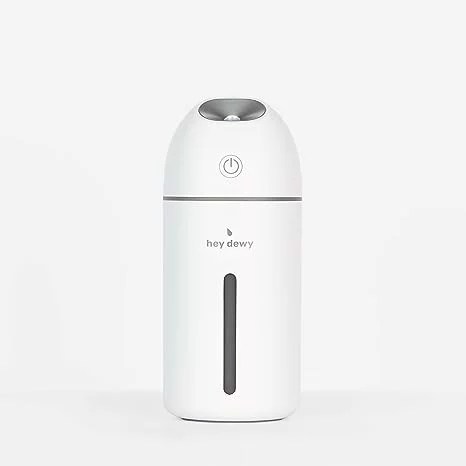 A white hey dewy portable facial steamer