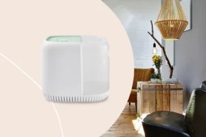 The New Easy-to-Clean Humidifier That Derms Can't Get Enough Of