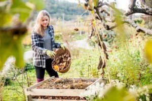 4 Fall Cleanup Tips To Help Your Garden Reach Its Full Potential Come Spring