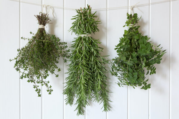 How To Dry Fresh Herbs Before They Wilt Away