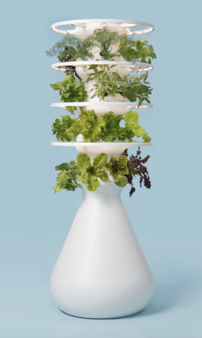 Salad Grow The Farmstand