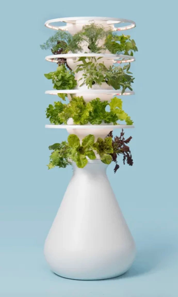 Lettuce Grow The Farmstand