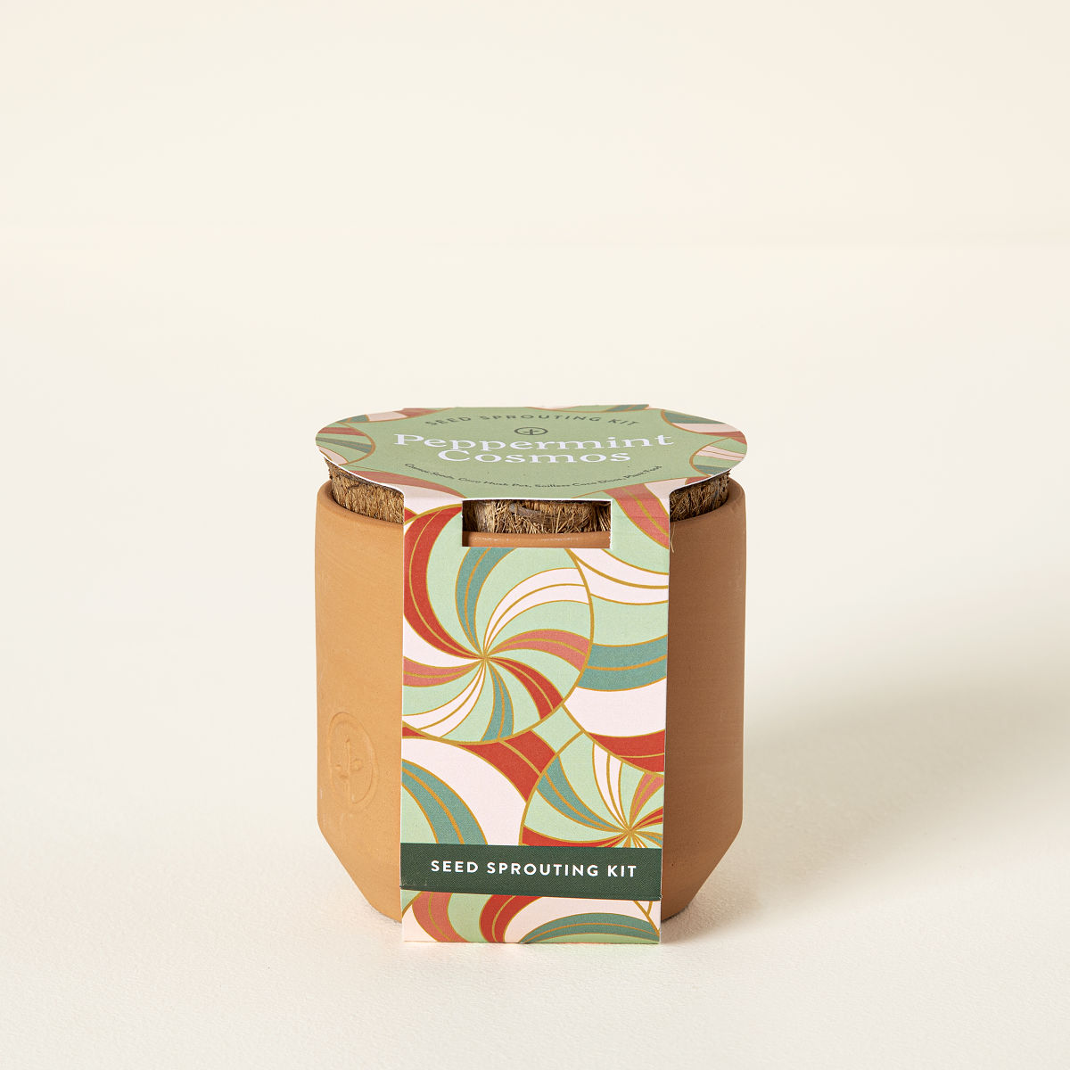 Uncommon Goods Peppermint Cosmos - Holiday Terracotta Grow Kits