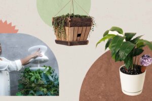 These Are the Gifts Gardening Lovers Will Actually Want This Year