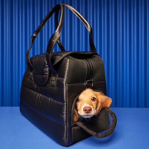 just fred dog tote
