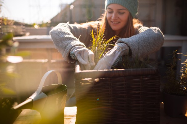 80% of Gardeners Report a Mood Boost Each Time They Plant—Here Are 6 Ways To...