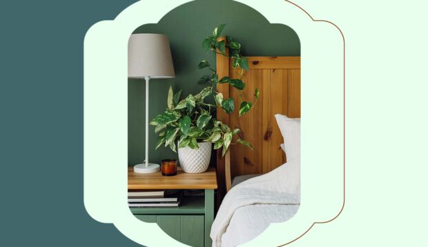 The Psychological Reason Why the Color Green Is Trending in Home Design—And How To Embrace...