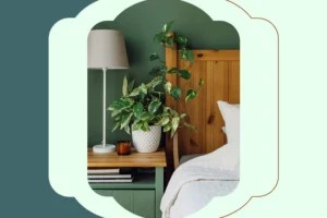 The Psychological Reason Why the Color Green Is Trending in Home Design—And How To Embrace It