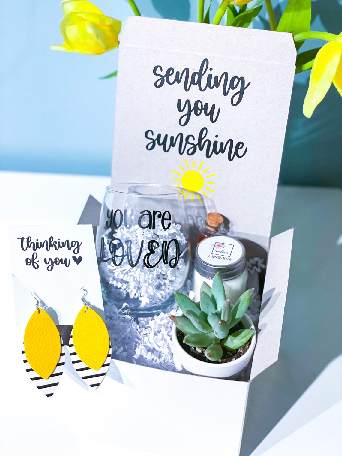 sending you sunshine succulent kit