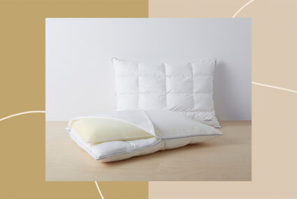 https://www.wellandgood.com/wp-content/uploads/2021/12/WG_Editorial_Allswell-Double-Sided-Pillow__Feature-425x285.jpg