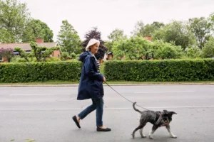 Walking Was Just Linked to Better Brain Health—Especially as You Age