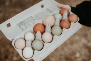 Why You Should Always Flip Your Eggs Upside Down in the Carton To Help Them Last Longer, According to an Egg Farmer
