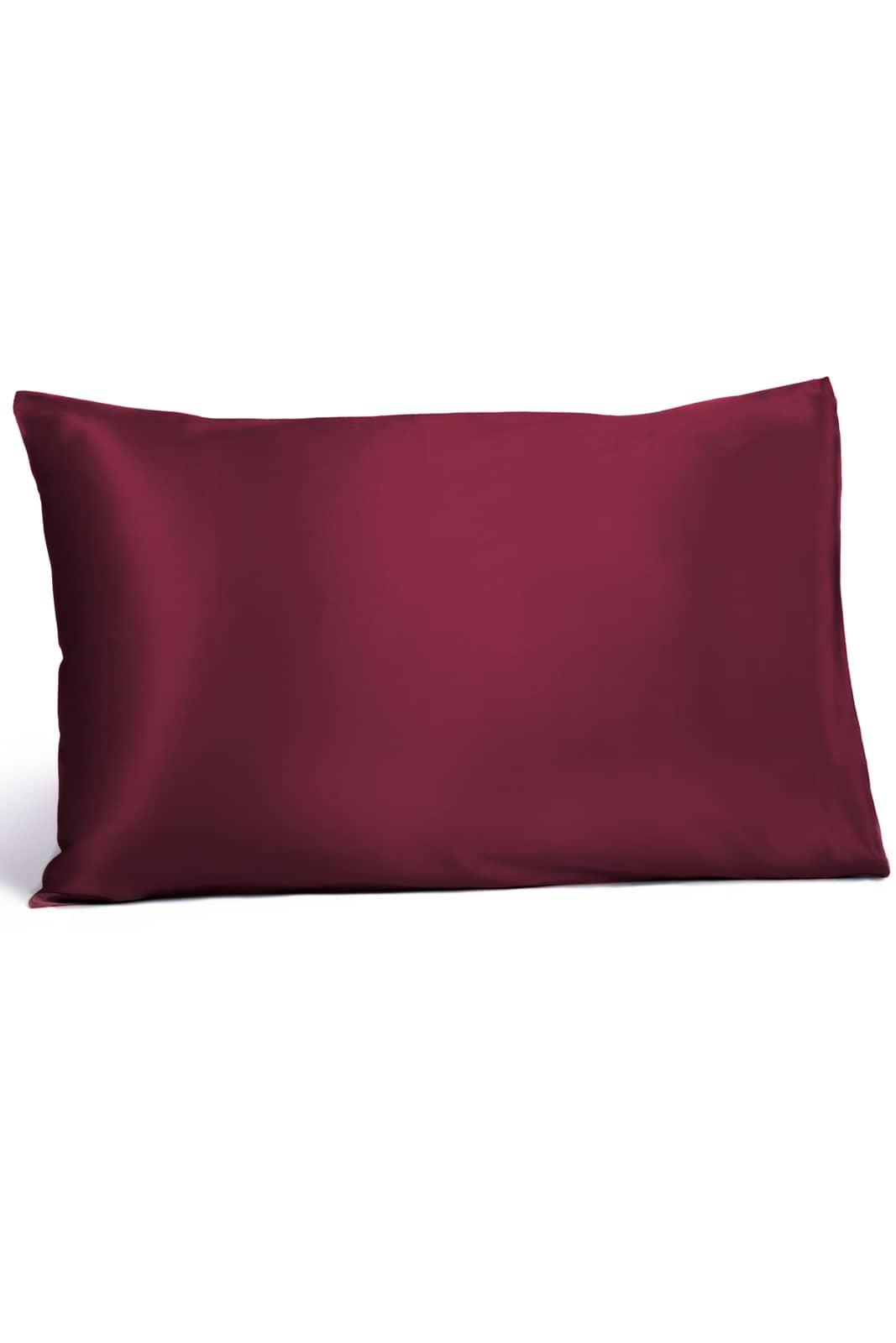 Fishers Finery 19 Momme 100% Pure Mulberry Silk Pillowcase