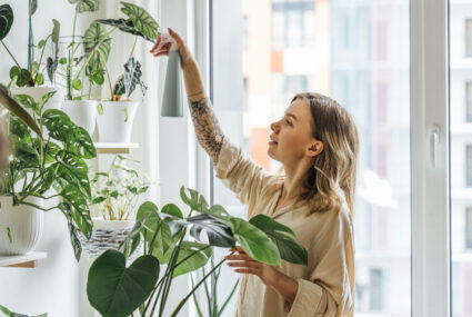 The Easiest Way To Dust Your Plants, According to a Professional Green Thumb
