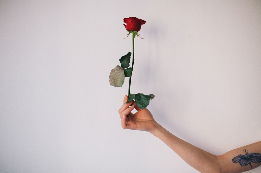 The Symbolic of a Single Rose | Well+Good