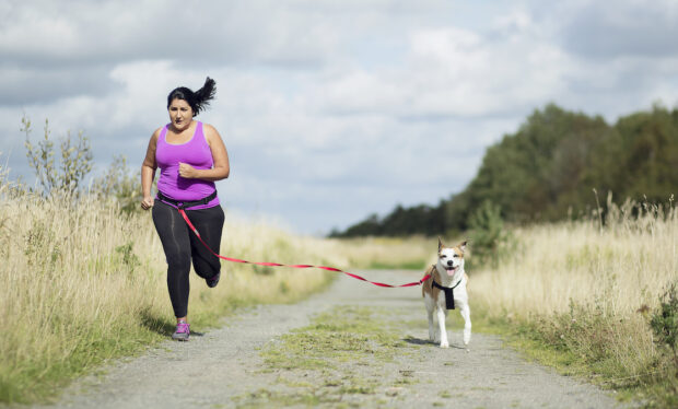 5 Tips From a Professional Dog Runner if You Want To Start Running With Your...