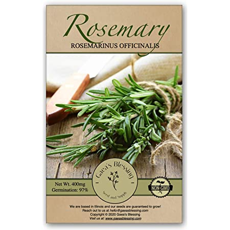 gaea's blessing seeds rosemary, perennial herbs
