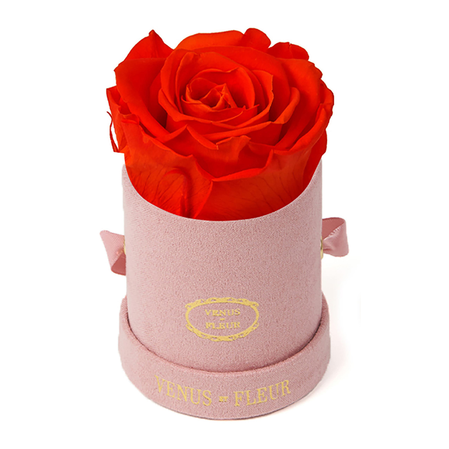 le mini round, red rose meaning