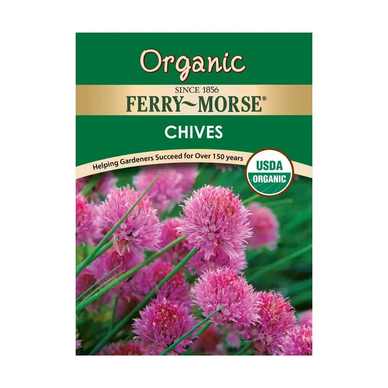 organic chives seeds, perennial herbs