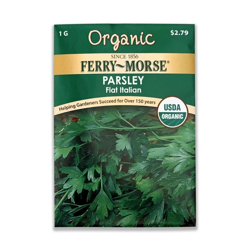 parsley, perennial herbs