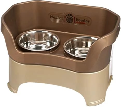 10 Best Elevated Dog Bowls, According to a Vet 2022