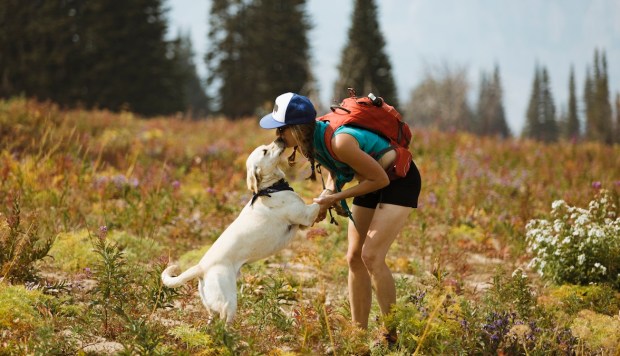 Hitting the Trails With Your Pup? These Adventure Pet Products Will Keep Them Happy and...