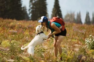Hitting the Trails With Your Pup? These Adventure Pet Products Will Keep Them Happy and Safe in the Great Outdoors