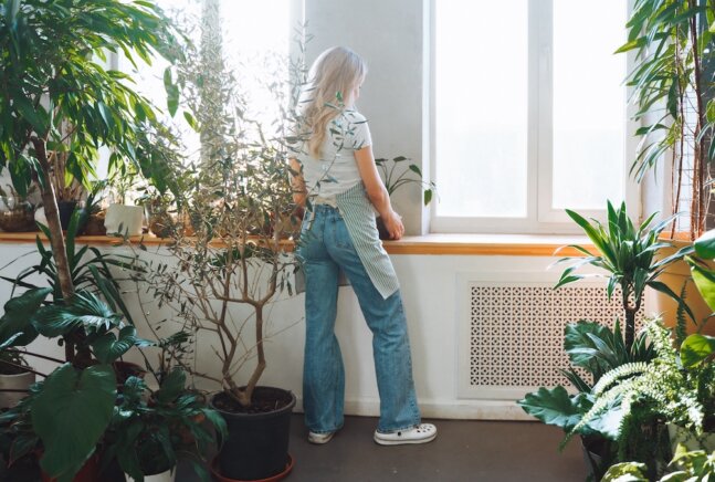 Spruce Up Your Living Space With These 12 Expert-Approved Indoor Trees