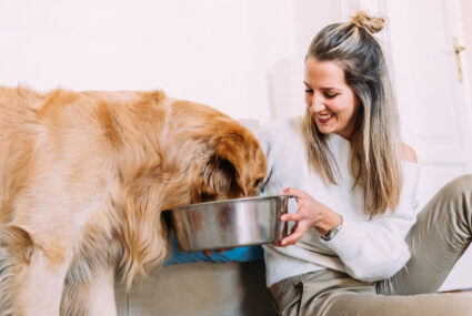 cleaning your dog's dishes