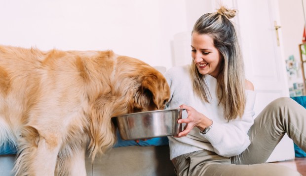 Your Dog's Food and Water Bowls May Be Causing Neck Pain and Arthritis—Here Are 10...