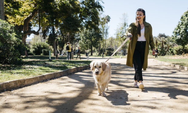 I Walk My Dogs 3 Miles a Day—These Are the Sneakers That Give Me the...