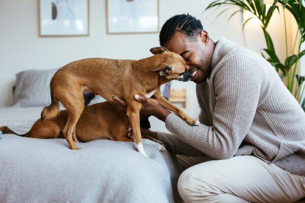 Animal Chiropractors Are Important to the Health of Your Pet—This Is When To Book an...